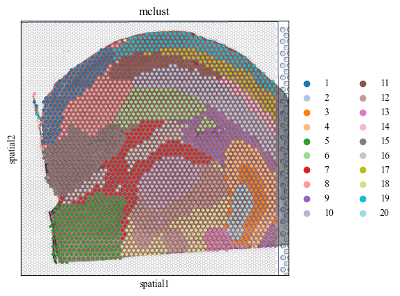 _images/multi_slice_alignment_representation_lerning_6_2.png
