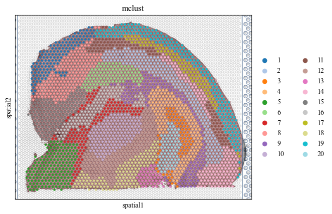 _images/multi_slice_alignment_representation_lerning_6_4.png