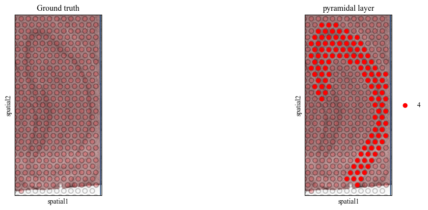 _images/multi_slice_alignment_representation_lerning_8_1.png