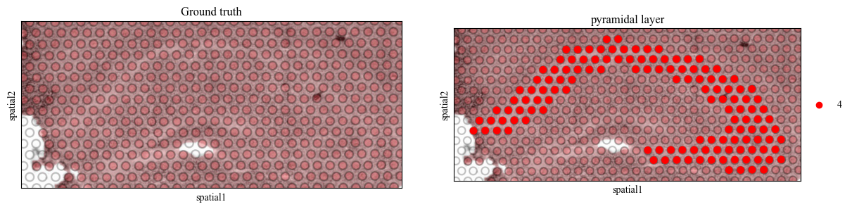 _images/multi_slice_alignment_representation_lerning_8_11.png