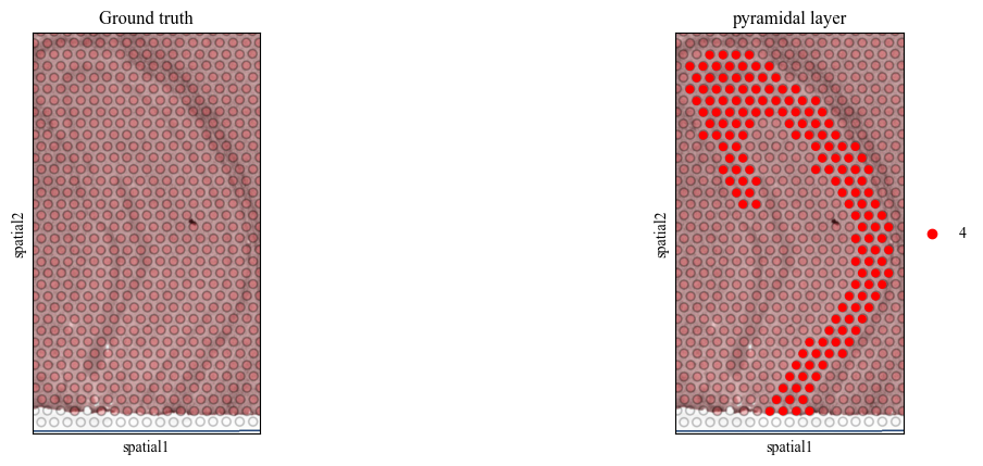 _images/multi_slice_alignment_representation_lerning_8_5.png
