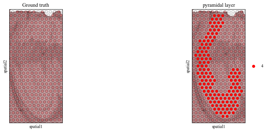 _images/multi_slice_alignment_representation_lerning_8_7.png