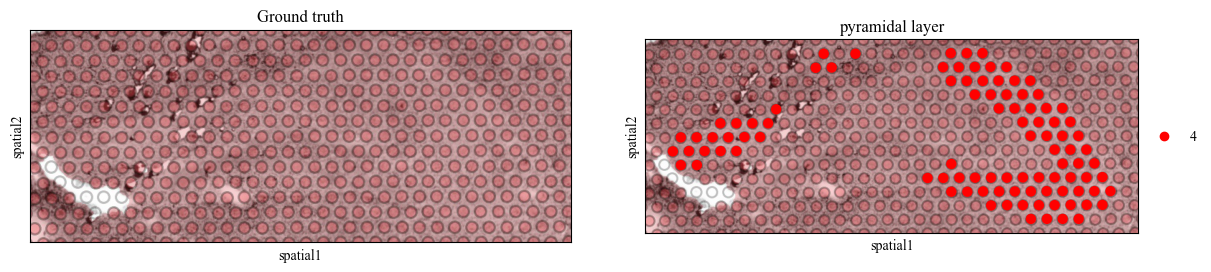 _images/multi_slice_alignment_representation_lerning_8_9.png